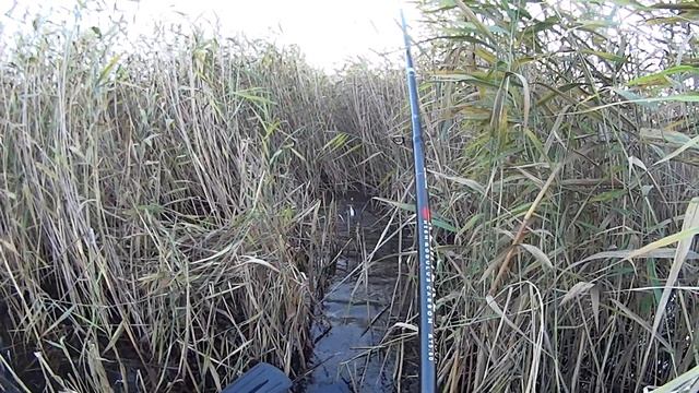 КАРП Черный Красавец КЛАСС!!! смотреть онлайн