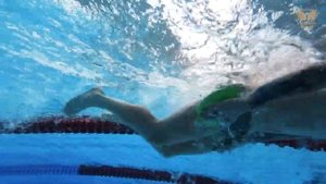 Плавательные Советы от Адама Пити