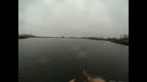 Jackall Chubby Vibration 40