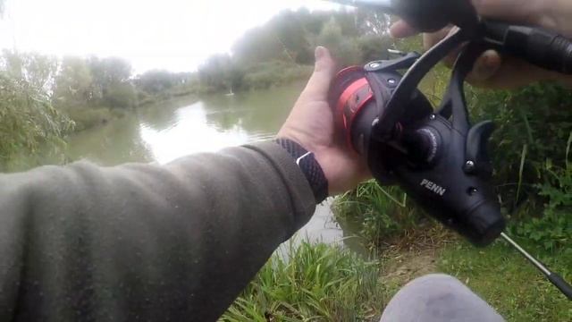 Catfish fishing using a float and pellet. смотреть онлайн