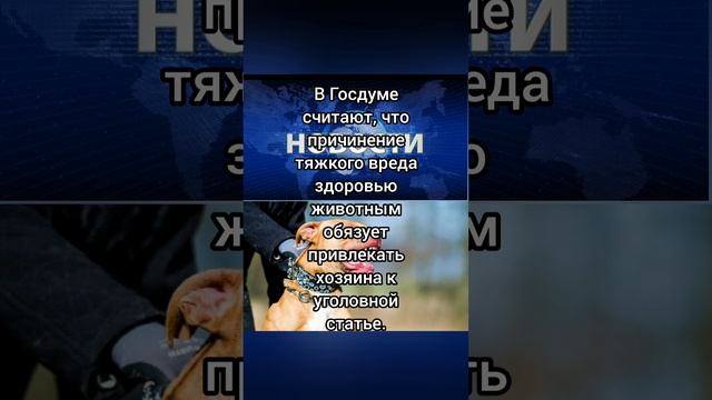 За агрессивных собак предложили наказывать уголовно