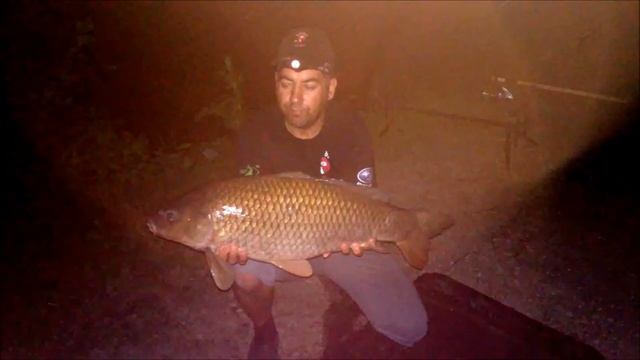 rok 2015 s dudi bait смотреть онлайн