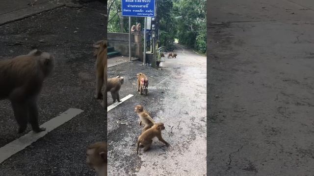 Отпуск на Пхукете / Vacation in Phuket