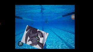 смотрю ромику её видео вообще это волки рулят просто имя поменяла