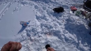 ТОННЫ ЩУКИ, ОКУНЯ ПОДО ЛЬДОМ В ЯКУТИИ 2024. ЖЕРЛИЦЫ, УДОЧКИ, ХОРОШАЯ КОМПАНИЯ.