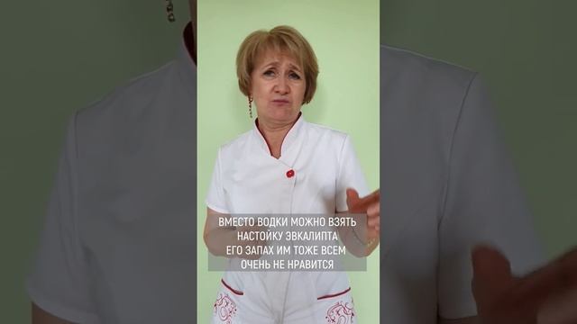 ► КОМАРЫ? КЛЕЩИ? смотреть онлайн