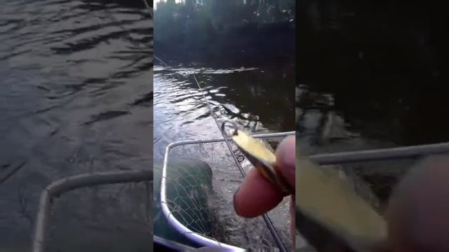 ловля жереха смотреть онлайн