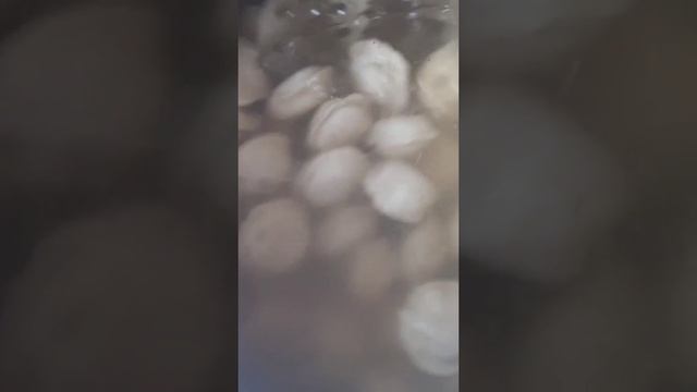 Варим Пельмени# смотреть онлайн
