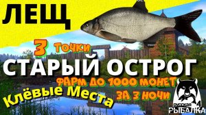 ФАРМ ЛЕЩА НА ОСТРОГЕ 1000 МОНЕТ РР4