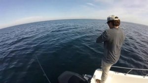 Lake Trout MADNESS! + Catch n Cook | Vertical Jigging Lake Michigan (PART 1/2)