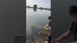 Шикарный амурец 🔥👍 Рыбалка У Самвела. #рыбалка2024 #кбр07 #россия #fishing2024 #рыбалка #амур #кбр