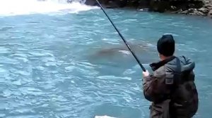 Рыба маринка