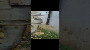 Двигатель Андория, дизель, два цилиндра.