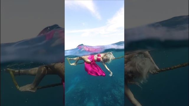 IN THE MIDDLE OF A PHOTOSHOOT WHEN WE WHERE PHOTO BOMBED BY A DINOSAUR 🦖 ON THE GREAT BARRIER REEF.