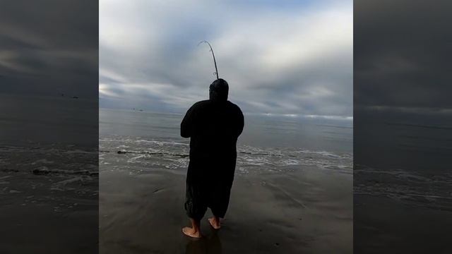 DAIWA 5000 BG SYSTEM 10' MH 24LB FIRST FISH ON THE NEW SURF ROD #GOPRO #SANTACRUZ #SURFFISHING смотреть онлайн
