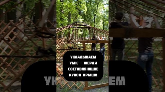 Как поставить юрту? #varenikart #реконструкция #рысь #живаяистория