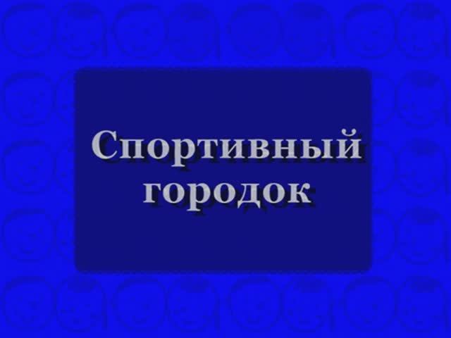 09. Проект "Спортивный городок" МКОУ ООШ д. Перевоз