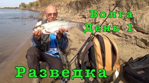 СУДАК в коряжнике и ЖЕРЕХ на струе. ВОЛГА день ПЕРВЫЙ.