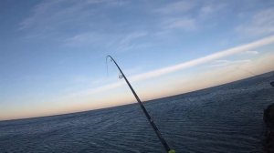 Fishing 2 Little Tunny 5.2.2019 - 2