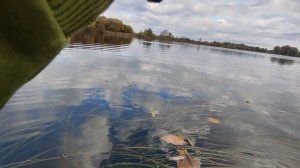 Знову ПО ПОЯС У ВОДІ та знову БЕЗ ПІДСАКИ. | Again up to the waist in water without a landing net.