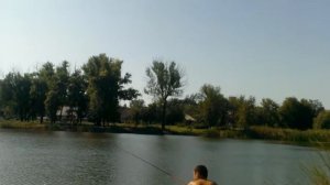 красноперка на отводной