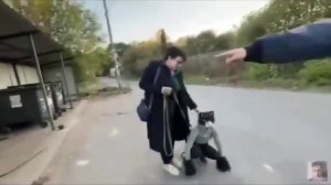 квадробер на прогулке