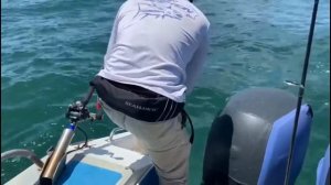 MY DAIWA LEOBRITZ S500J SCREAMING....