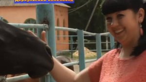Экскурсия на Деркульском конезаводе