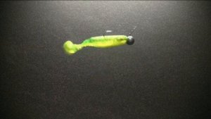 RELAX KOPYTO 4-L" Swimming video