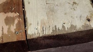 Садовая дорожка своими руками. Лаги и настил из досок. Часть 2.