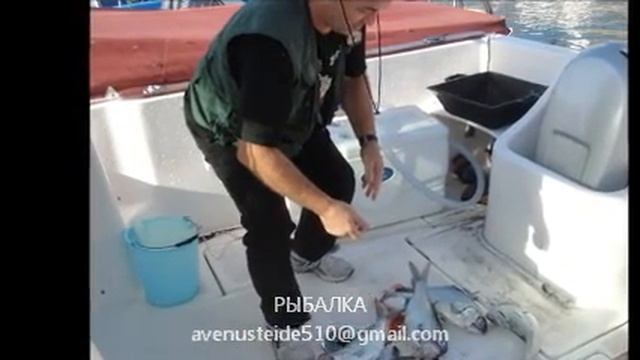 FICHNING ТЕНЕРИФЕ РЫБАЛКА 0018 смотреть онлайн