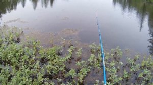 Рыбалка на озере. Июль 2023г. Норильск.