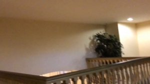 Обзор отеля Kremlin Palace