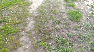 Стоеджер х20, пристрелка,третья часть.