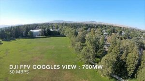 DJI FPV GOGGLE VIEW 50mbps / 700mw