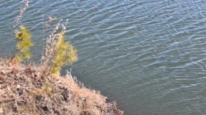 Обь пробуждается. КИРЕЕВСК-СФТИ. Вечная музыка... Эннио Морриконе – Chi Mai  Исполняет Монах Авель