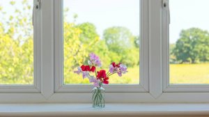 На какие окна владельцу квартиры теперь нужно спрашивать согласие у соседей по дому