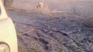 Рыбалка в Парыгино