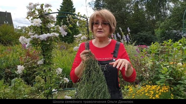 СПОРЫШ - камнедробильный и мочегонный смотреть онлайн