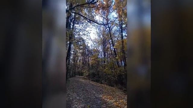 Санаторий Прометей в Новомичуринске