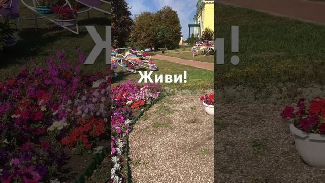 Живи Красота! Понятно? Слава Богу за всё!..☀️