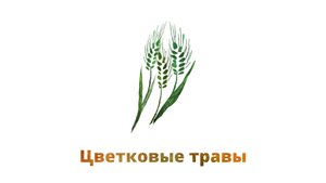 23. Цветковые травы