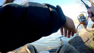 Утренняя рыбалка на пикерное удилище. Рыбалка на красивом сельском озере.