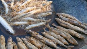 Мойва жарится в садже #садж #еда #food #grill #fish #мойва #жареная рыба