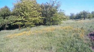 100 МЕТРОВ ЭТО НЕ ПРЕДЕЛ. ОХОТА ХАТСАН 70