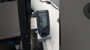 Выход сома на эхолоте Lowrance hook 4x