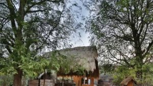 Шри-Ланка, Puttalam District, Wilpattu - Palpatha Eco Safari Lodge