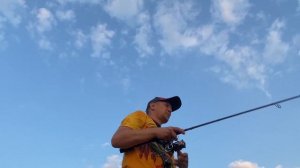 ЩУКА НА СВИМБЕЙТ SFVAGE GEAR И ЛЕГКИЙ ДЖИГ. МНОГО ПОКЛЕВОК. ХОРОШИЙ УЛОВ