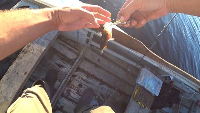 Шикарная копия с Али ,воблер  L-Minnow. смотреть онлайн