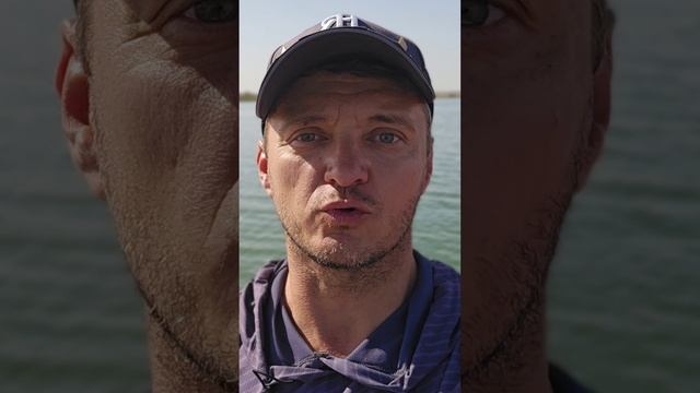 Выбор рабочей точки ловли хищника 💪💪💪